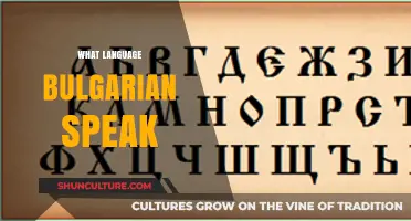Exploring the Richness of Bulgarian: A Linguistic Journey