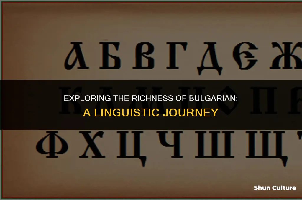 what language bulgarian speak