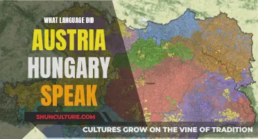 A Linguistic Journey: Exploring Austria-Hungary's Diverse Languages