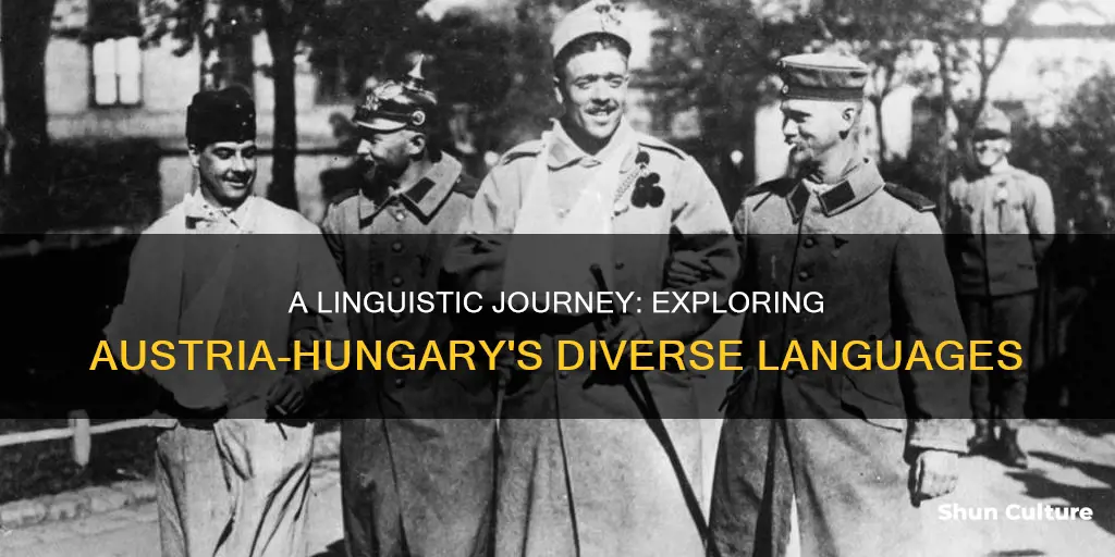 what language did austria hungary speak