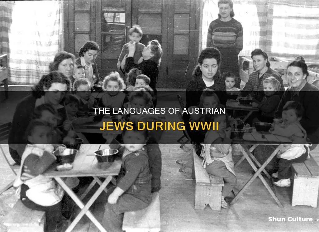 what language did austrian jews speak during wwii