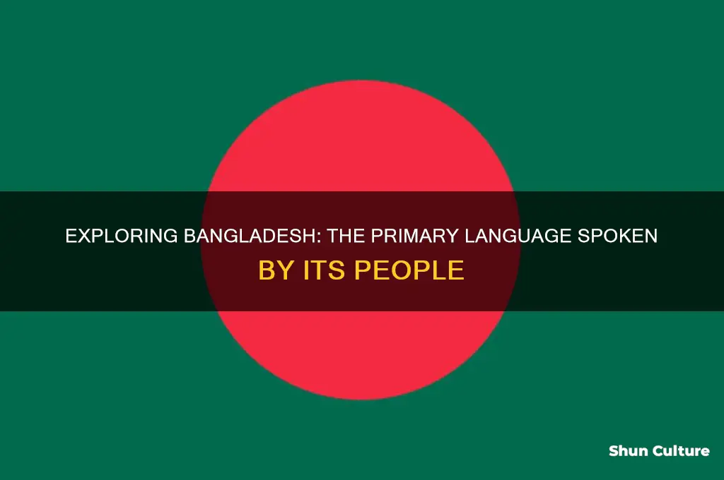 what language do bangladesh people speak