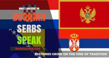 Bosnian Serbs' Language: Exploring Their Unique Linguistic Identity and Dialects