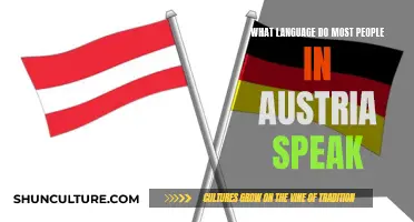 The Most Common Language in Austria: A Linguistic Overview