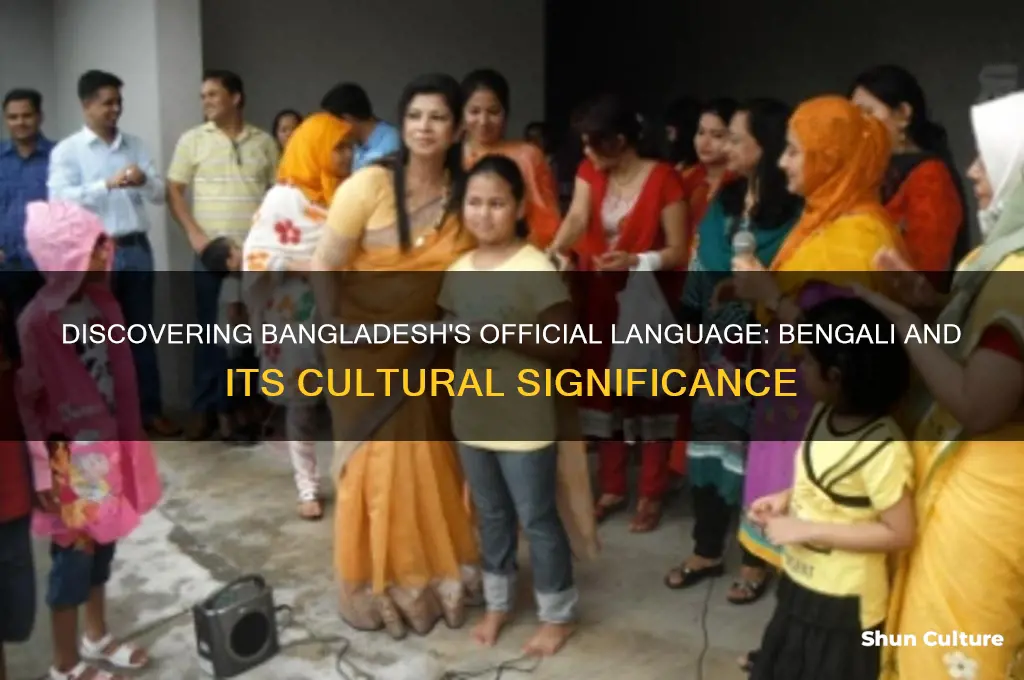 what language do people for bangladesh speak