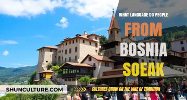 Bosnian Language: Exploring the Official Tongues of Bosnia and Herzegovina