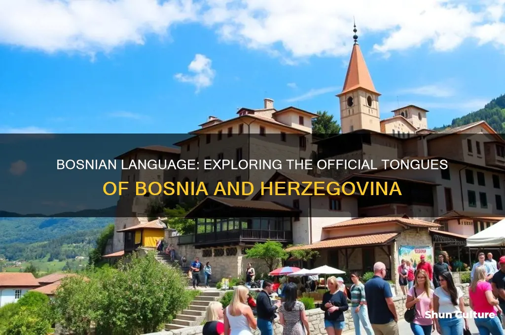 what language do people from bosnia soeak