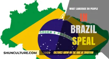 What Language Do Brazilians Speak? Unveiling Brazil's Official Tongue