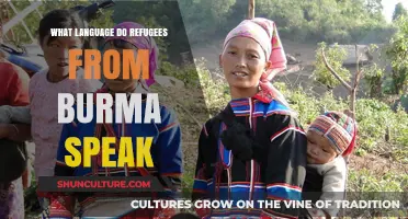 Voices from Burma: Unveiling the Linguistic Diversity of Refugees