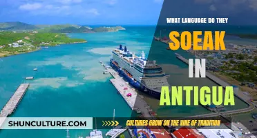 Discovering Antigua's Official Language: A Guide to Local Communication