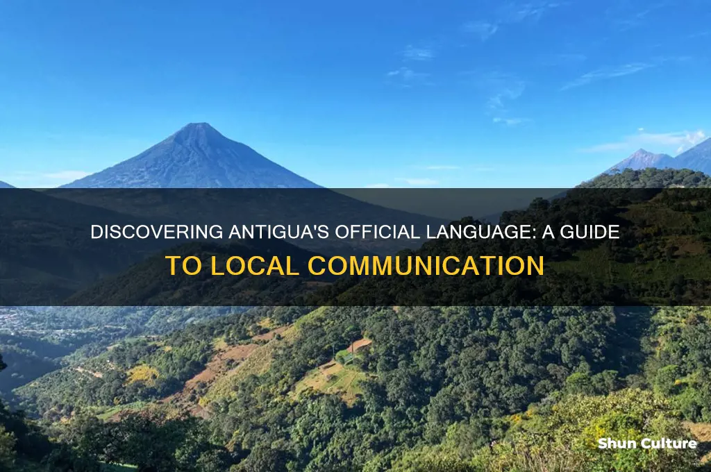 what language do they soeak in antigua