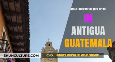 Discovering Antigua Guatemala's Official Language and Cultural Communication