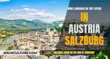 Salzburg's Language: A Guide to Austria's Linguistic Diversity