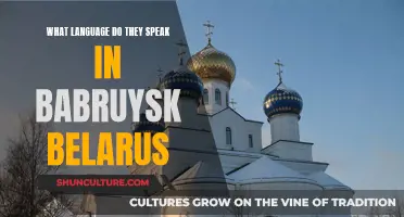 Exploring the Language of Babruysk, Belarus