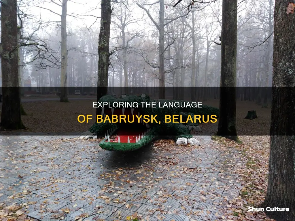 what language do they speak in babruysk belarus