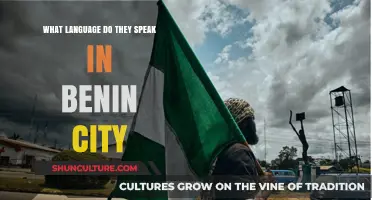 Exploring the Linguistic Landscape of Benin City: A Cultural Journey