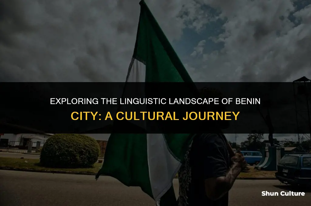 what language do they speak in benin city