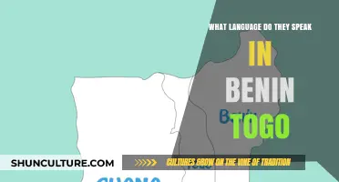 Exploring the Linguistic Landscape of Benin and Togo