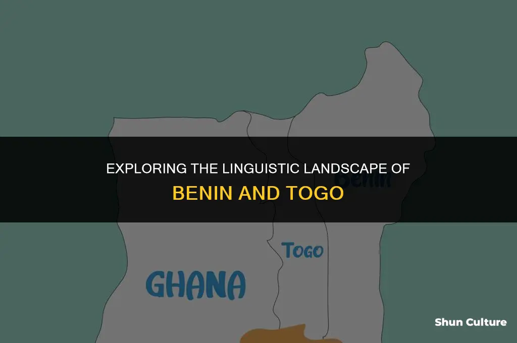what language do they speak in benin togo