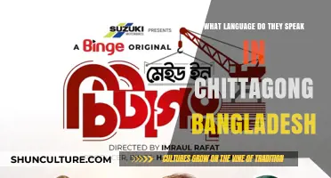 Exploring Chittagong's Unique Language: A Blend of Bengali and Local Dialects