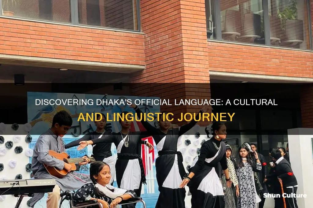 what language do they speak in dhaka bangladesh