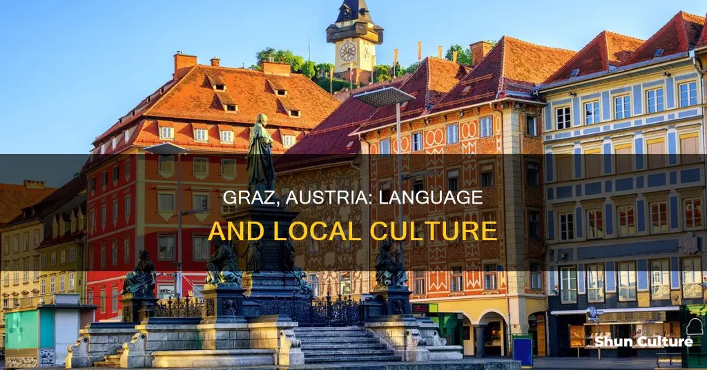 what language do they speak in graz austria