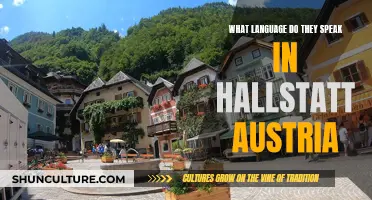 Unveiling Hallstatt's Language: A Linguistic Journey to Austria's Gem