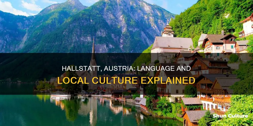 what language do they speak in hallstatt austria