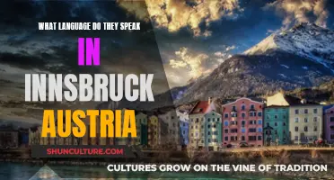 Innsbruck's Language: A Guide to Austria's Linguistic Diversity