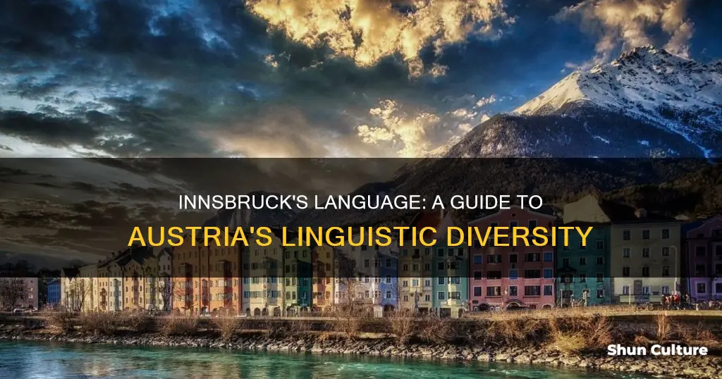 what language do they speak in innsbruck austria