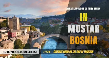 Discovering Mostar's Linguistic Landscape: Languages Spoken in Bosnia's Gem