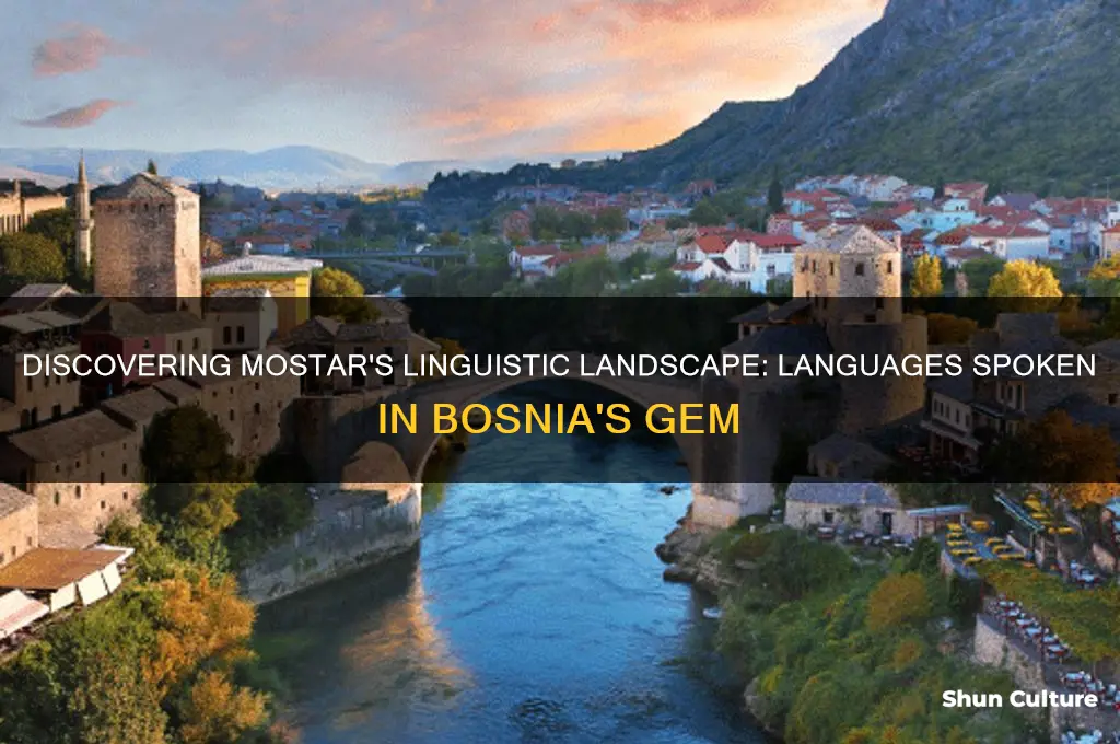 what language do they speak in mostar bosnia