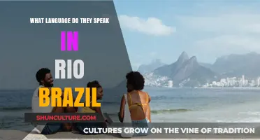 Discovering Rio's Language: Portuguese and Cultural Vibes in Brazil