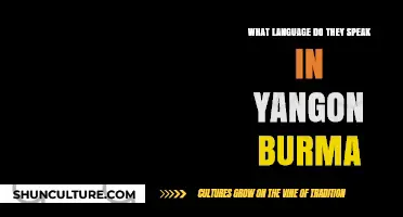 Exploring Yangon: The Linguistic Landscape of Burma's Largest City