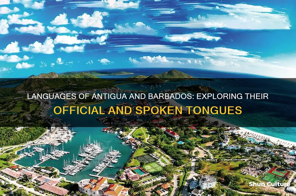 what language does antigua and barbados speak