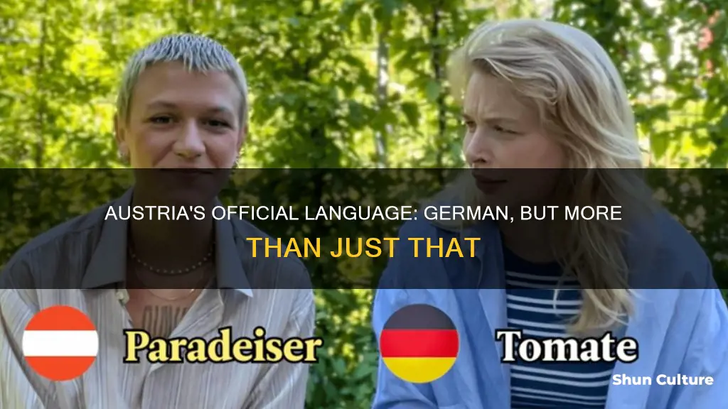 what language does austria speaak