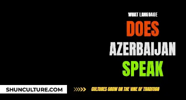 The Language of Azerbaijan: A Country's Unique Tongue