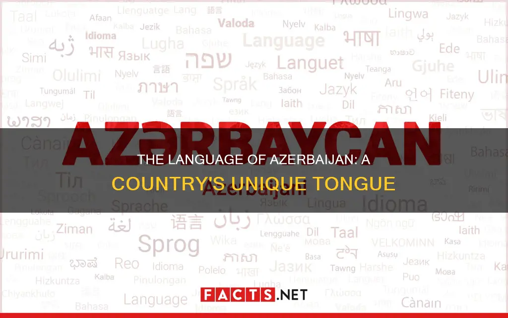 what language does azerbaijan speak