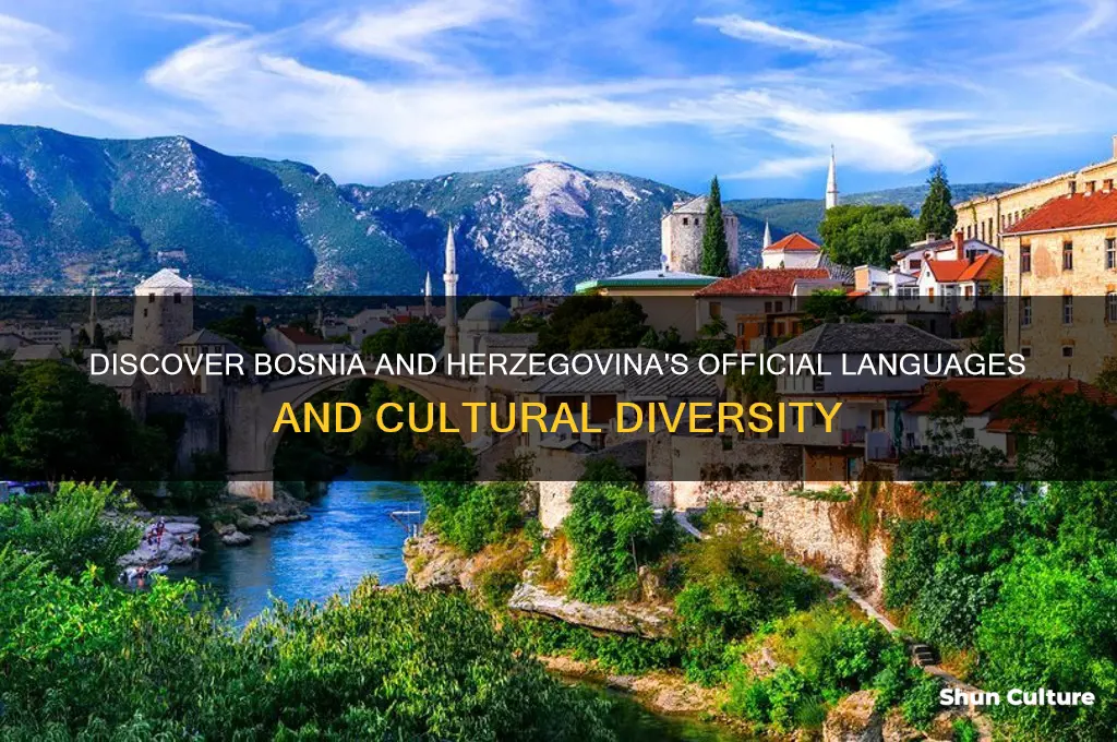 what language does bosnia and herzegovina speak