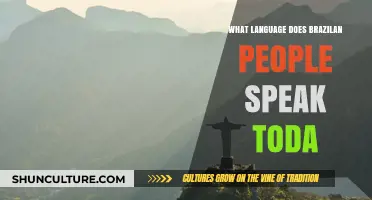 What Language Do Brazilians Speak Today? Exploring Portuguese and Beyond