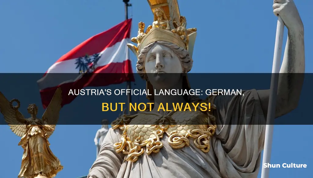 what language does the austrians are austria