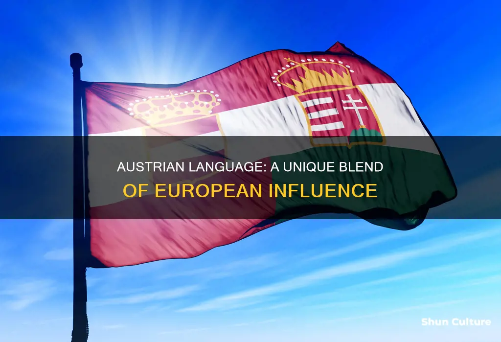 what language does the austrians are austria