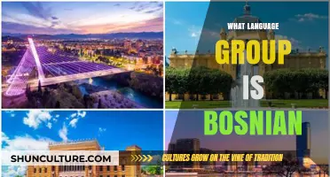 Exploring Bosnian: Its Slavic Roots and Language Group Classification