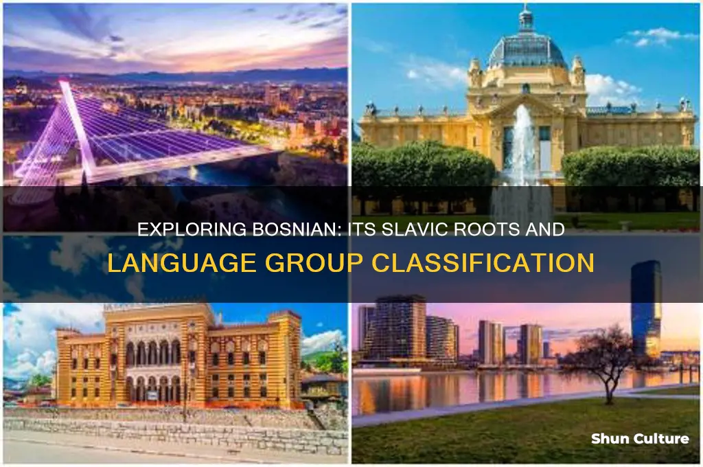 what language group is bosnian