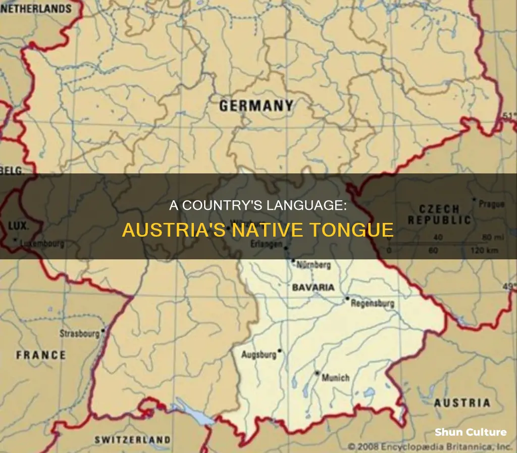 what language is native to austria