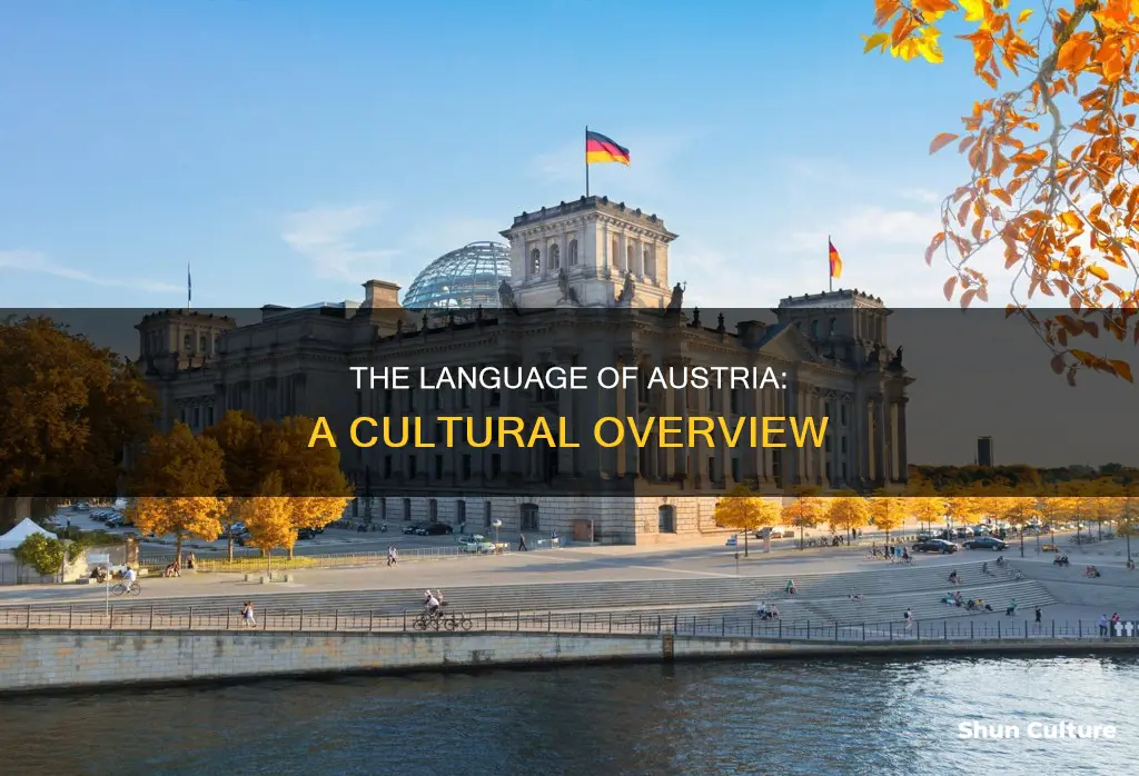 what language is poken in austria