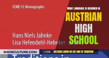 Unlocking Academic Success: Language Requirements in Austrian High Schools