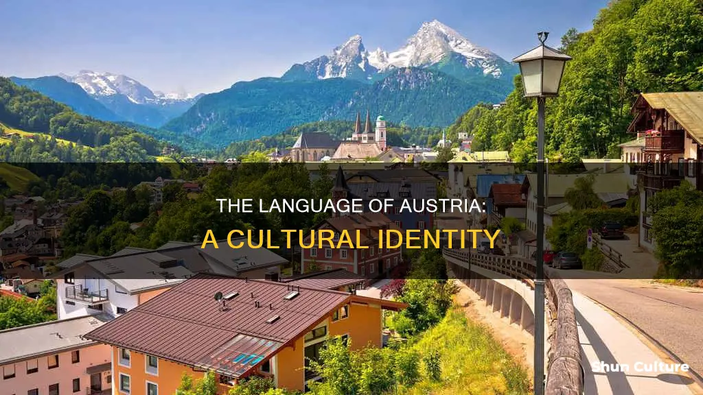 what language is spkoen in austria