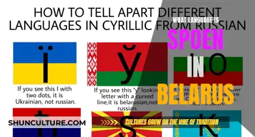 Belarus' Official Language: A Historical Overview