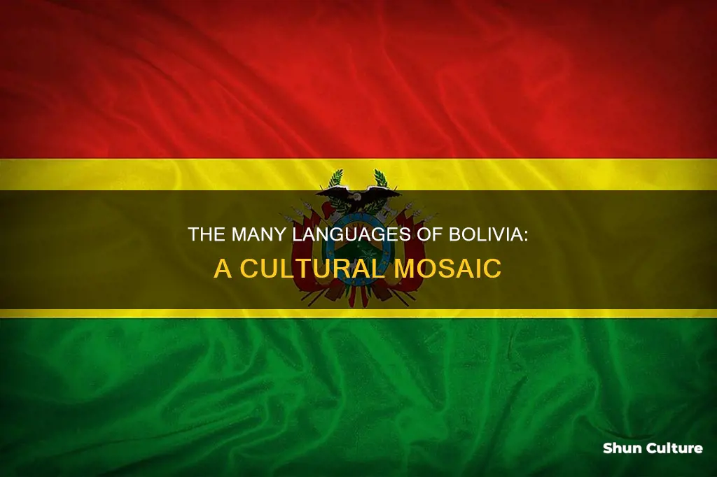 what language is spoen in bolivia